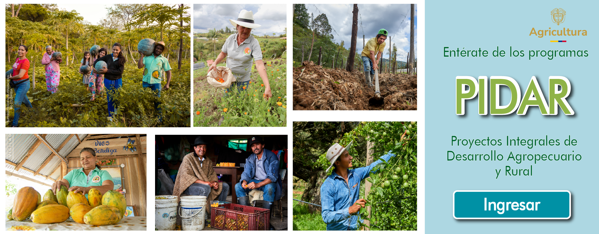 Fiduagraria-fiducia-fiduciaria-proyectos-integrales-de-desarrollo-agropecuario-y-rural1