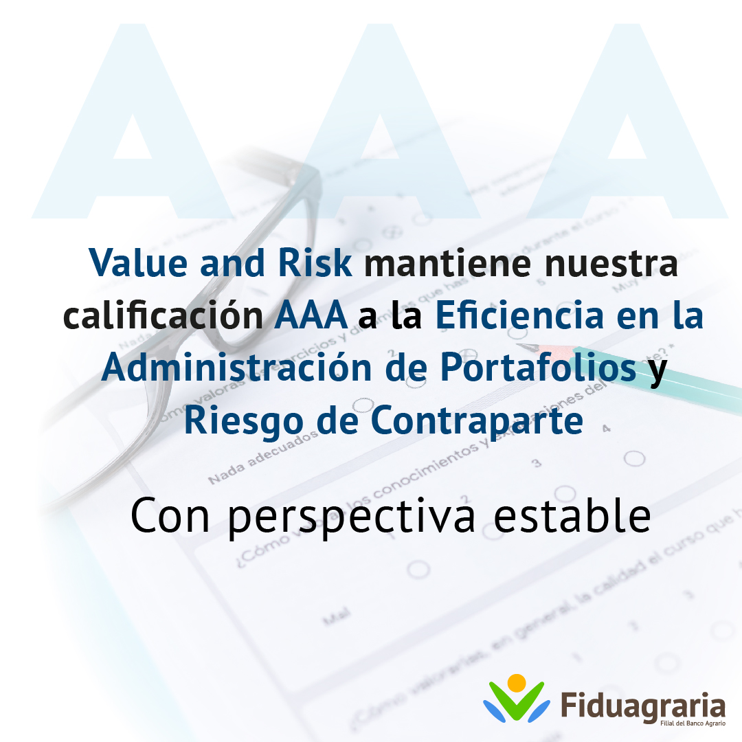 Informes Calificadora Value And Risk 